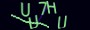 validcode